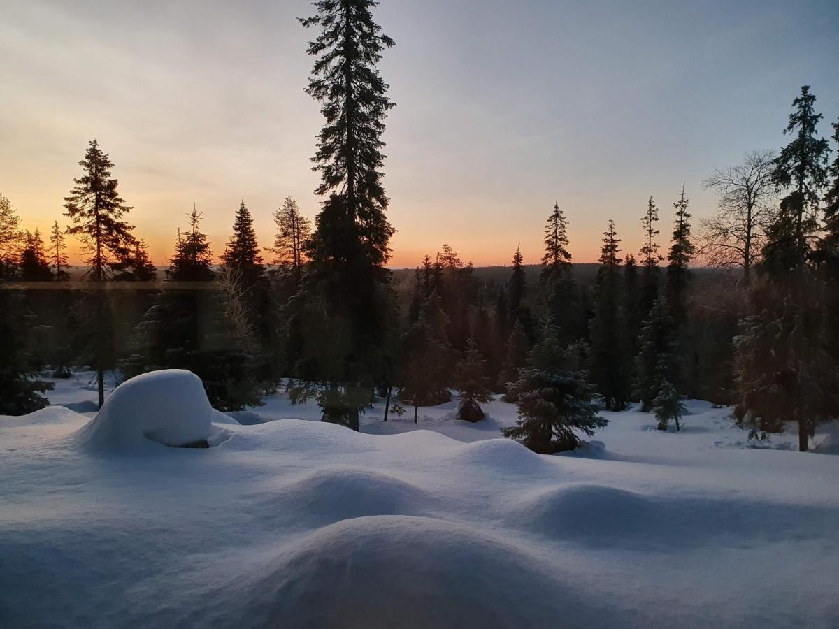 Hietavilla Aurora * Ruka